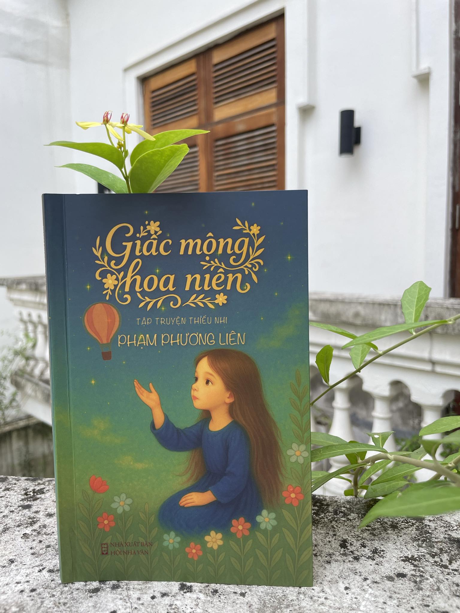 GIẤC MỘNG HOA NIÊN