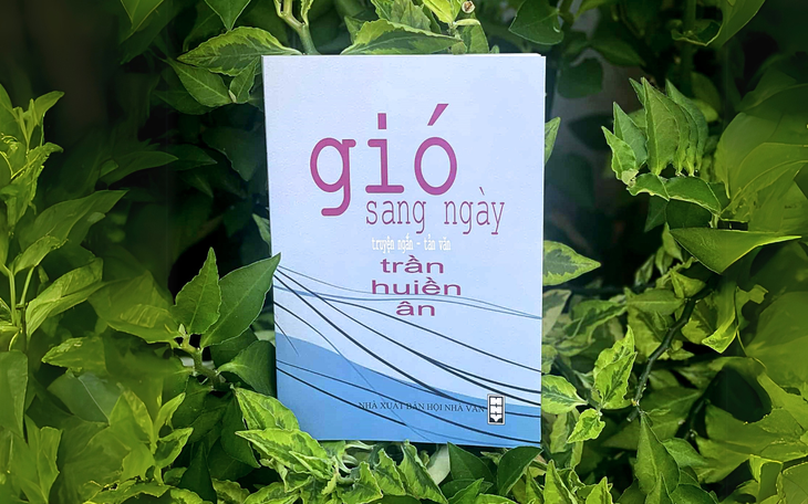 Gió sang ngày